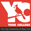 university