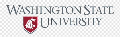 university