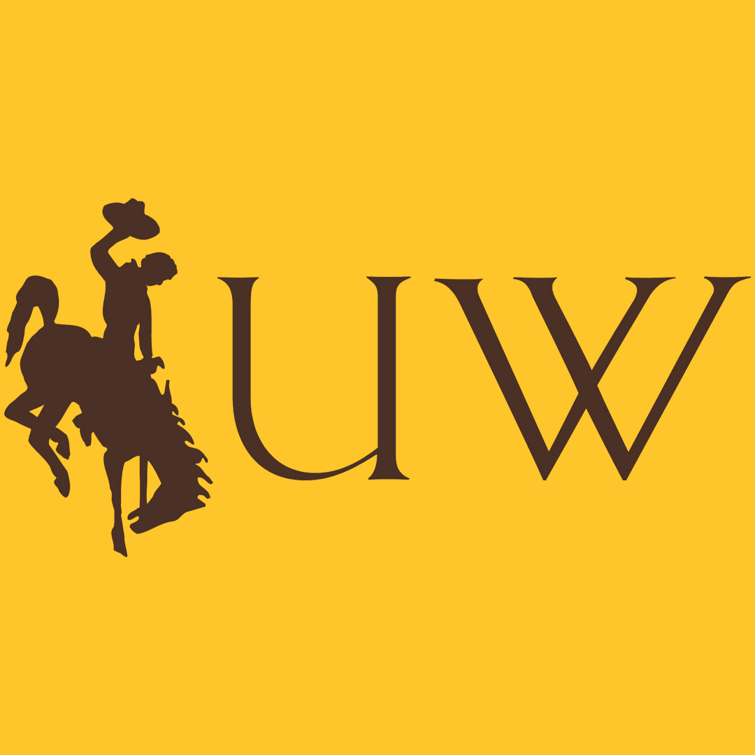university