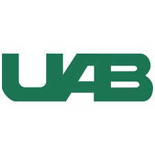 university