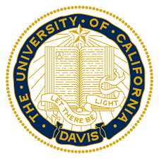 university