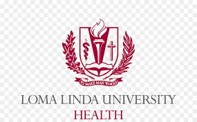 university