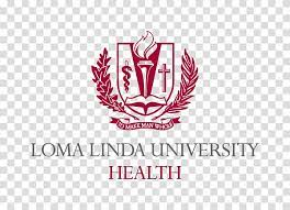 university