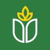 university