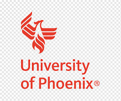 university