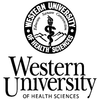 university