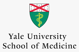university