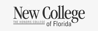 university