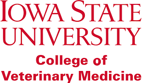 university
