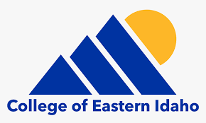 university