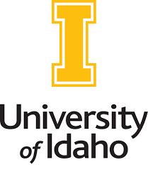 university