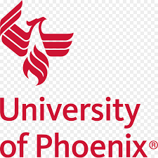 university