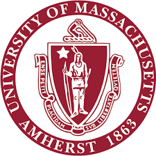 university