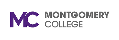 university