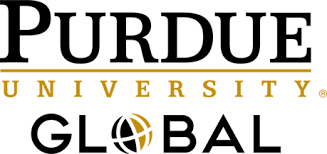 university