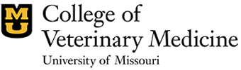 university