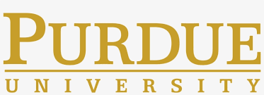 university