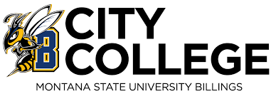 university