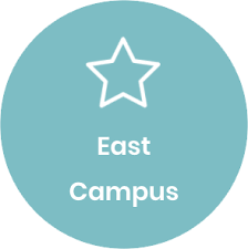 university