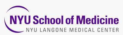 university
