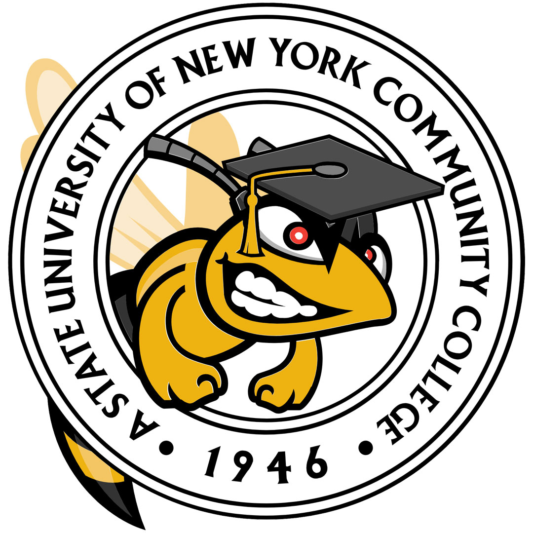 university