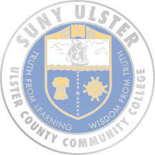 university