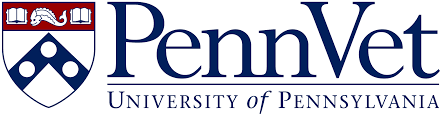 university