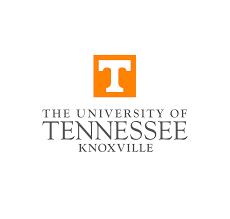 university